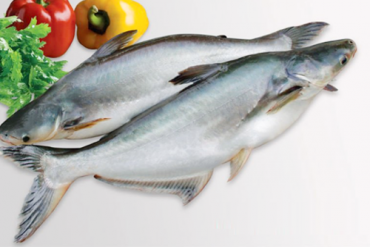 CÁ BASA - LỢI ÍCH CỦA VIỆC SỬ DỤNG VÀ GIÁ TRỊ DINH DƯỠNG TỪ THỊT CÁ