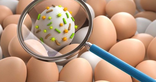 vikhuan_salmonella_tren_thuc_pham