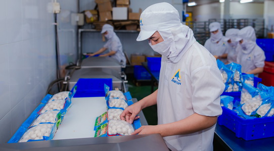 cong-ty-tnhh-tm-thoai-an